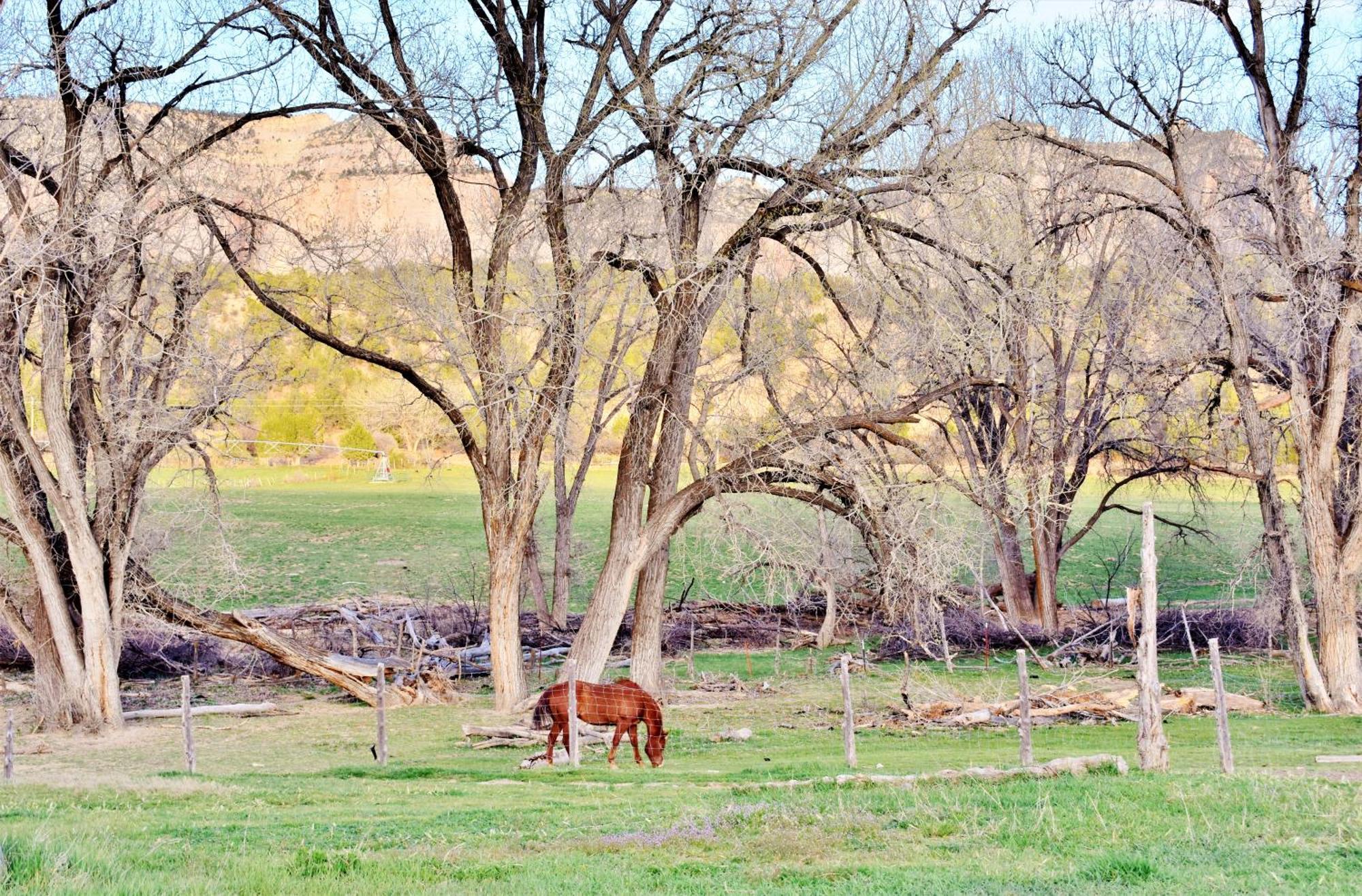 Arrowhead Country Cabins Mount Carmel Szoba fotó